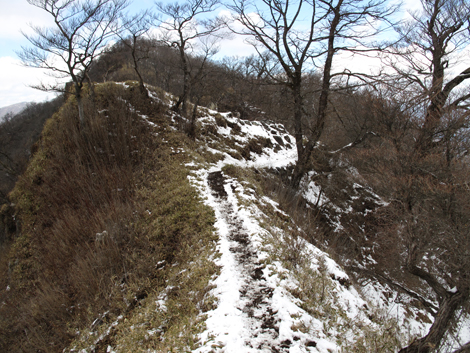 20160218hike (299)